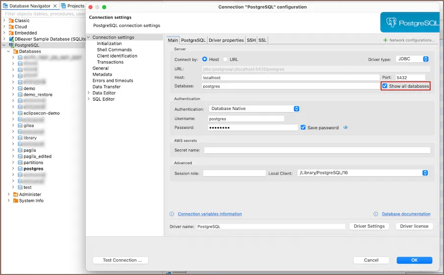 Configuracion de conexion PostgreSQL mostrando la opcion Show all databases